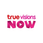 TRUE VISIONS NOW logo